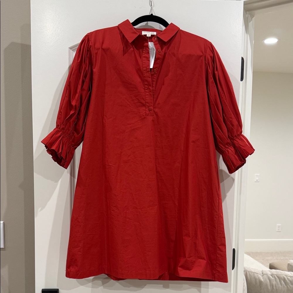 A-line dress with pleated balloon sleeves NWT
